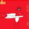 Nico – cool … aïe !!!